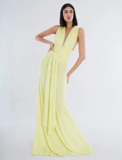 BCBGMAXAZRIA Campbell Maxi Dress
